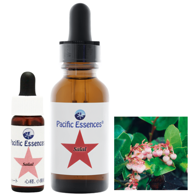 パシフィックエッセンス フラワーエッセンス キット1