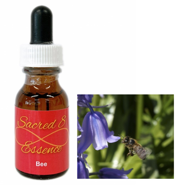 ワンサイデッドウィンターグリーン アラスカンエッセンス