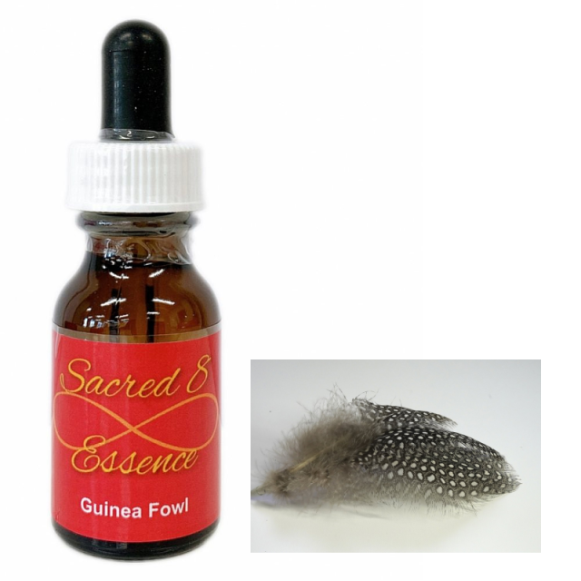 セージ セイクレッドエイトエッセンス ジオマンシー/ランドヒーリング