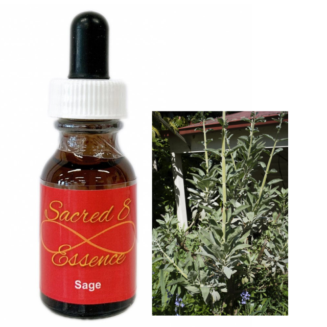 【専用】アメジストバブル 　セイクレッドエイトエッセンス　フラワーエッセンス　他 アメジストバブル セイクレッドエイト ホワイトエレメンタル