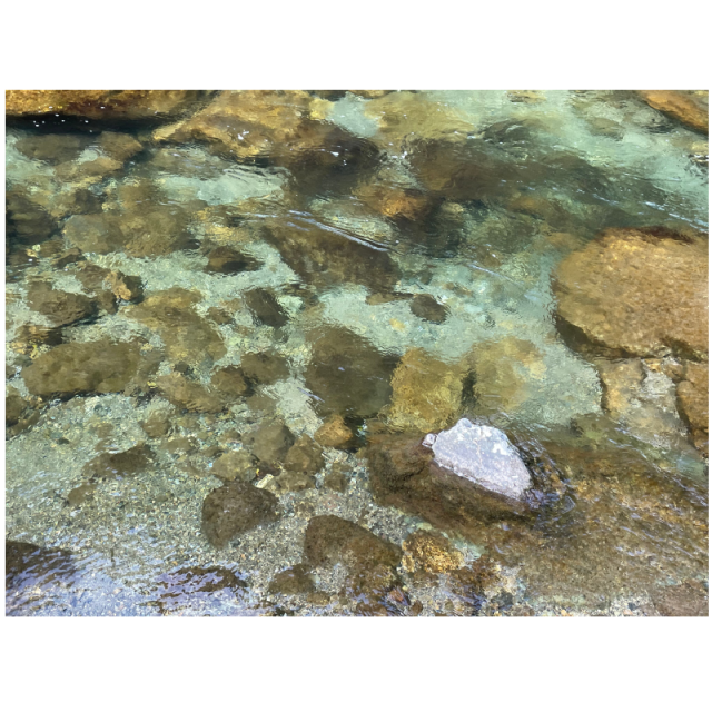 Sea・癒し