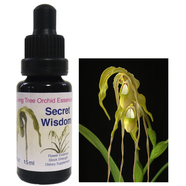 エロス フィンドホーン コンビネーション 愛と魅惑の