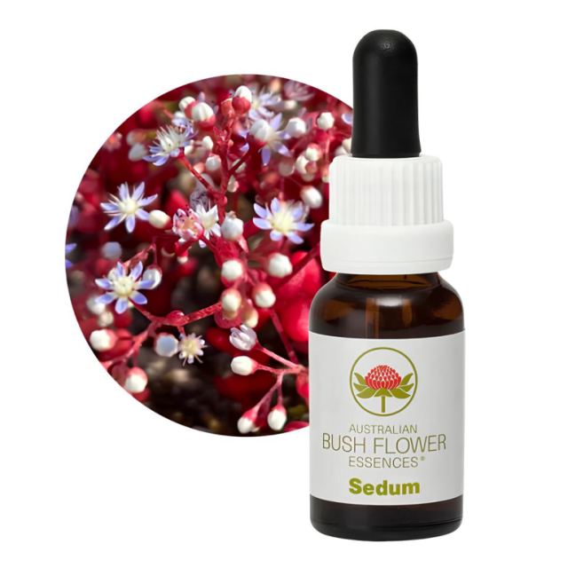 【専用】グリーンエッセンス　オーストラリアンブッシュ　フラワーエッセンス　他 専用】グリーンエッセンス オーストラリアンブッシュ