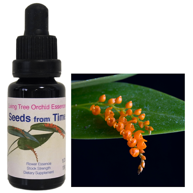 セクシャリティ オーストラリアン・ブッシュフラワーエッセンス