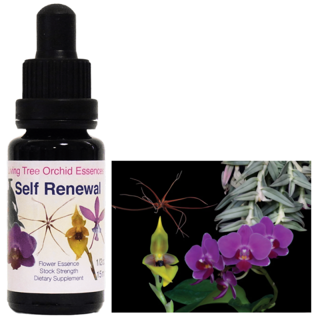 セルフリニューアル リビングトゥリーオーキッドエッセンス