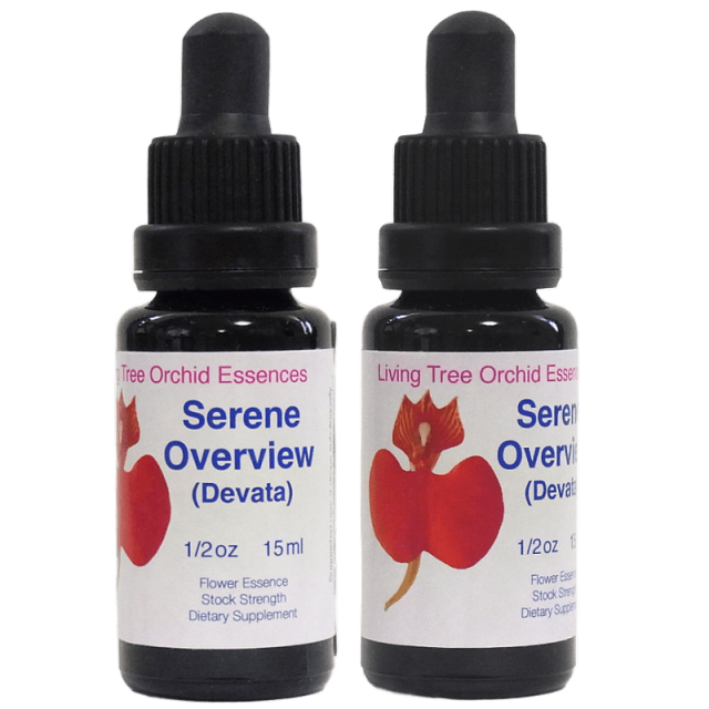 セレーンオーバービュー