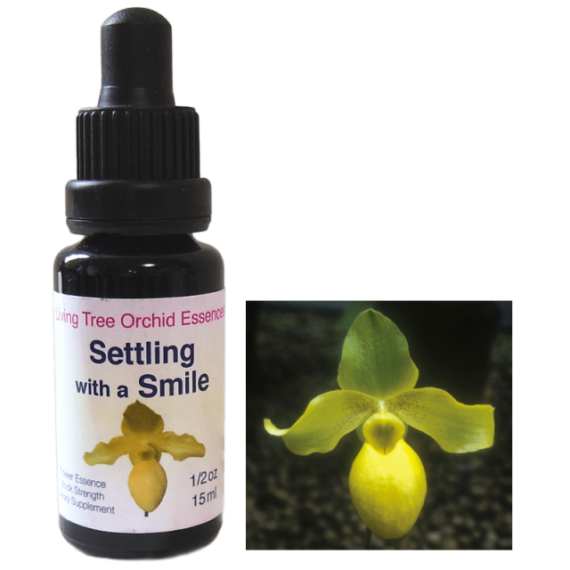 セトリングウィズアスマイル