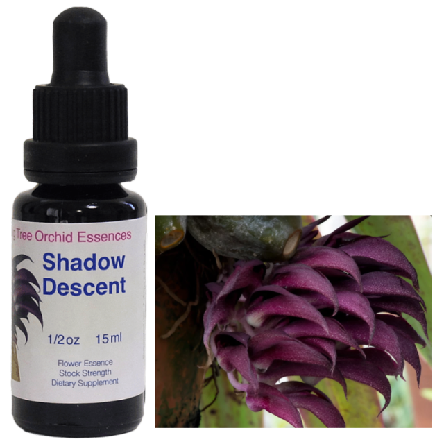 シャドーディセント