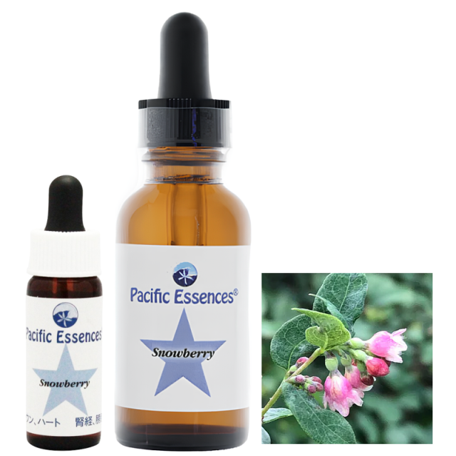 パシフィックエッセンス フラワーエッセンス キット1
