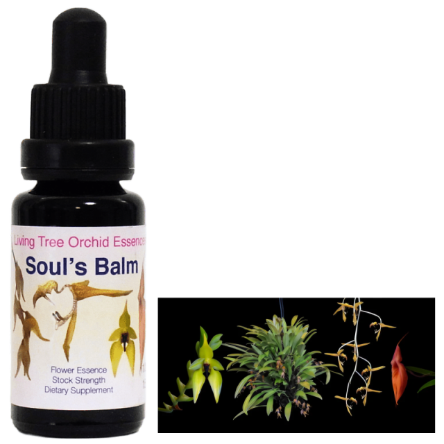 ソウルズバーム