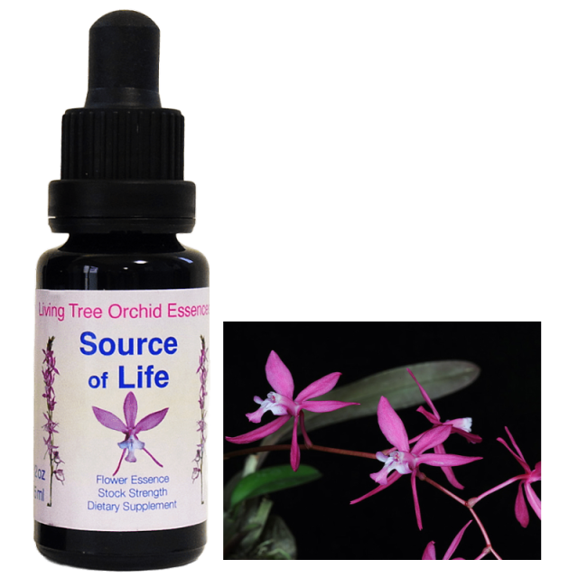 蘭のフラワーエッセンス Amazon.co.jp: 蘭のフラワーエッセンス―そのエネルギーと癒し