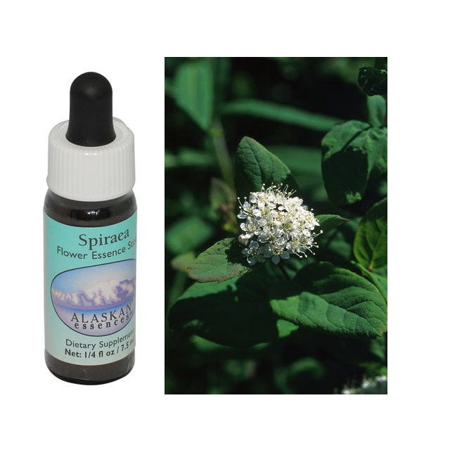 ボグローズマリー アラスカンエッセンス フラワーエッセンス 【ベル