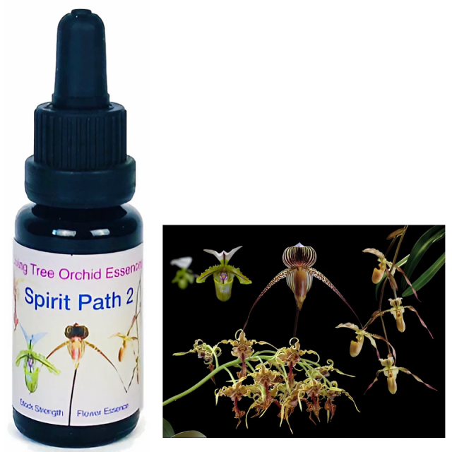 スピリットパス2