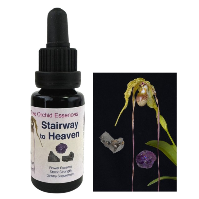 ソラシックアライメント リビングトゥリーオーキッドエッセンス