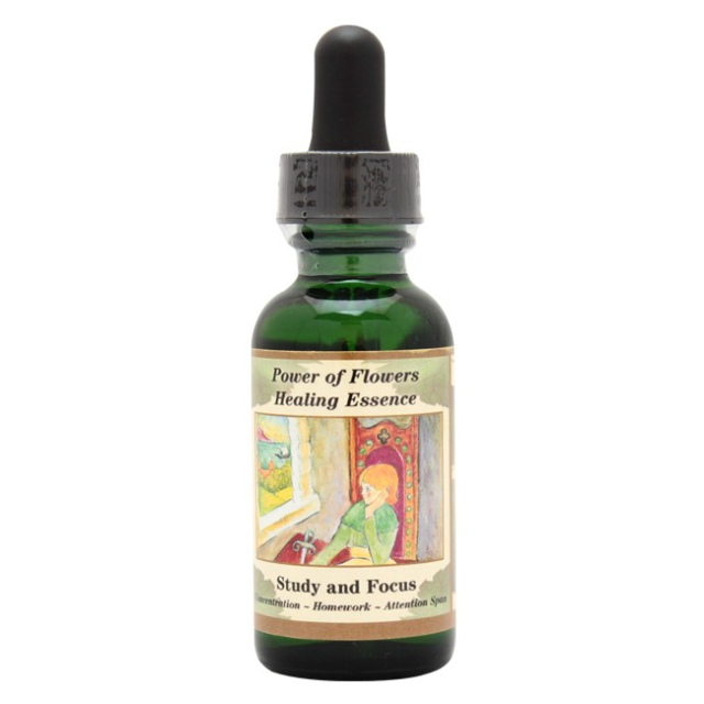 スタディアンドフォーカス