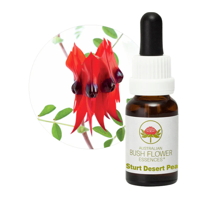 【専用】ピンクムラムラ　オーストラリアンブッシュ フラワーエッセンス　他 ピンクムラムラ[Pink Mulla Mulla] | ブランド一覧