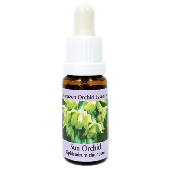 サンオーキッド