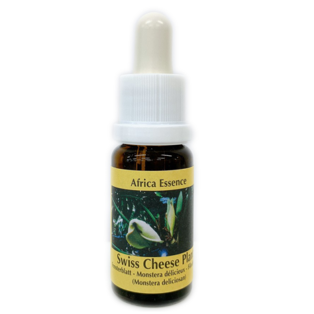 スイスチーズプラント