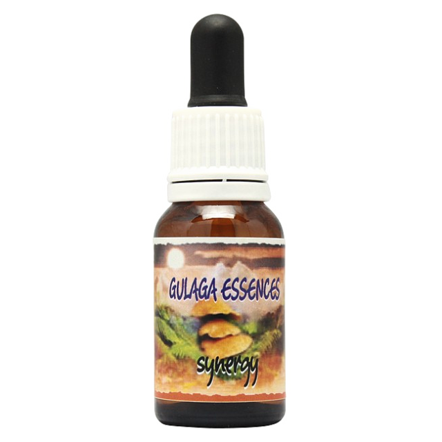 リンゼアナ✕クスビダータメンチャカパラセンシスパラス♥️ 最高品質Padparadschha Sappire(パパラチア・サファイア) ペア