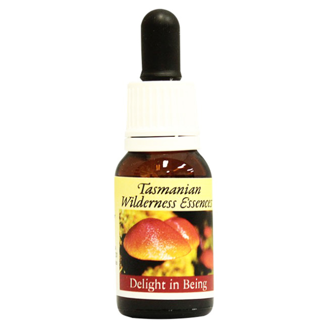 ディライトインビーイング