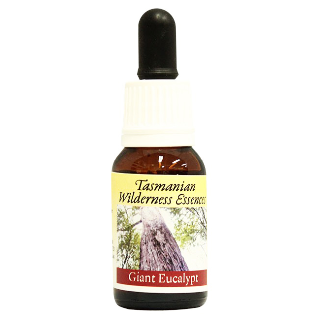 ジャイアントユーカリプト