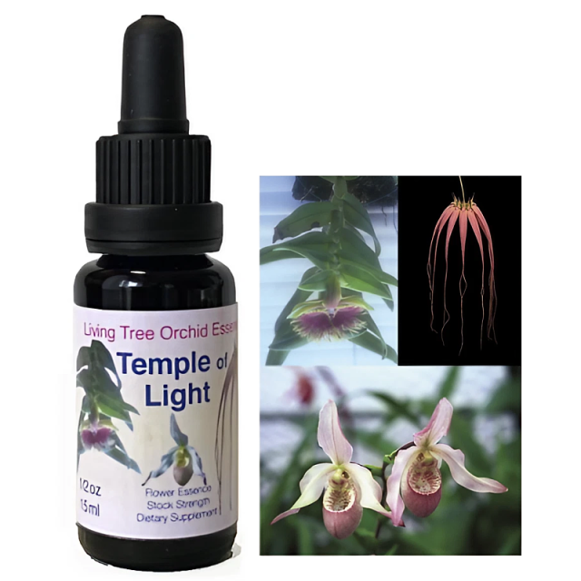 ブラックトルマリン アラスカンエッセンス ジェムエリクサー