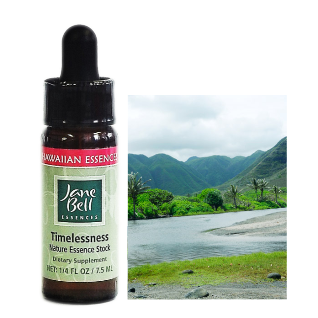 タイムレスネス