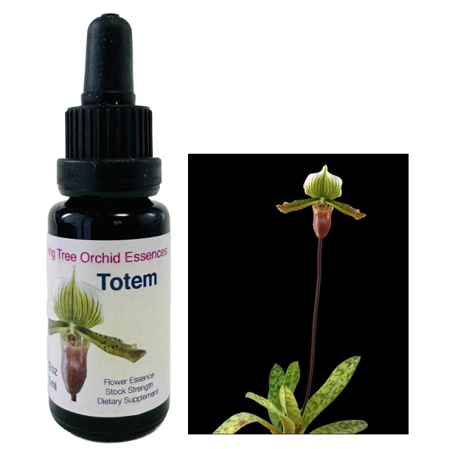 ラブズギフト リビングトゥリーオーキッドエッセンス（LTOE