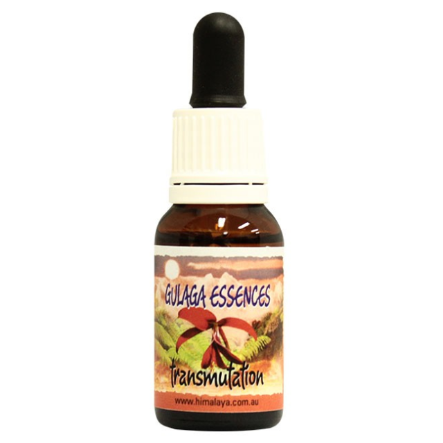 ヒマラヤンエンハンサーズ フェニックスライジング