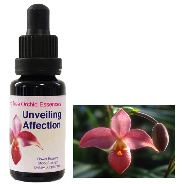 アンヴェーリングアフェクション リビングトゥリーオーキッド