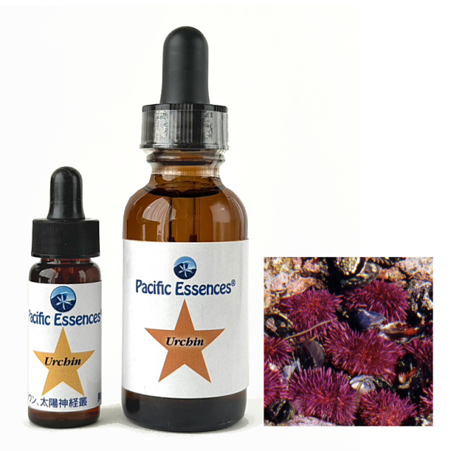 エマージェンシー（コンビネーション） オーストラリアン・ブッシュ