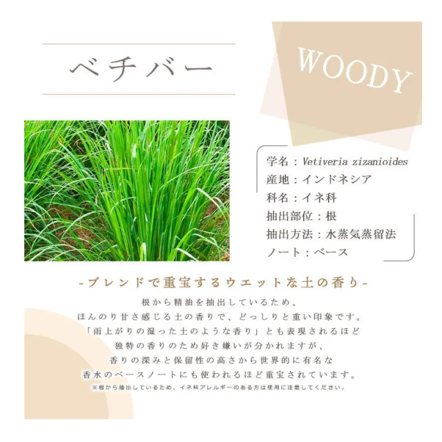 ベチバーについて