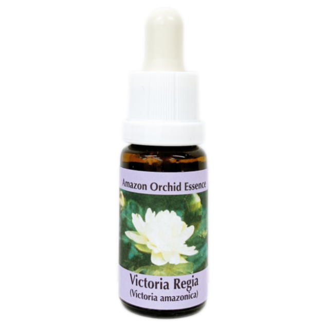 ビクトリア・レジーア