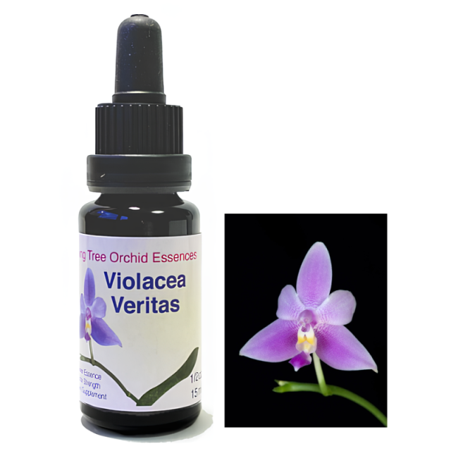 【専用】ピンクムラムラ　オーストラリアンブッシュ フラワーエッセンス　他 専用】ピンクムラムラ オーストラリアンブッシュ フラワーエッセンス