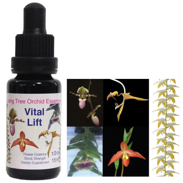 バイタルリフト