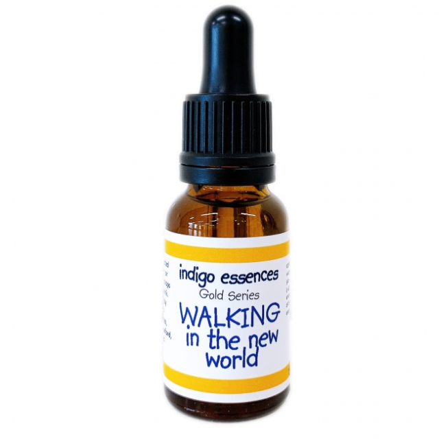 ウォーキング イン ザ ニューワールド