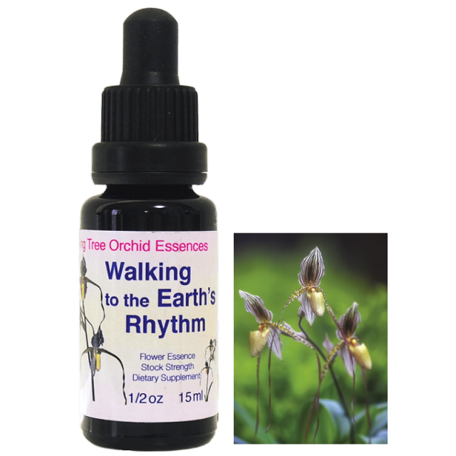 ウォーキングトゥザアースリズム