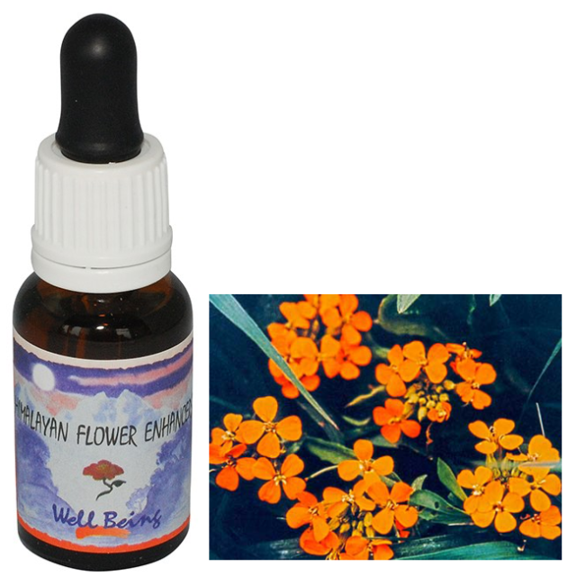 ウェルビーイング」 ヒマラヤンエンハンサーズのチャクラキット