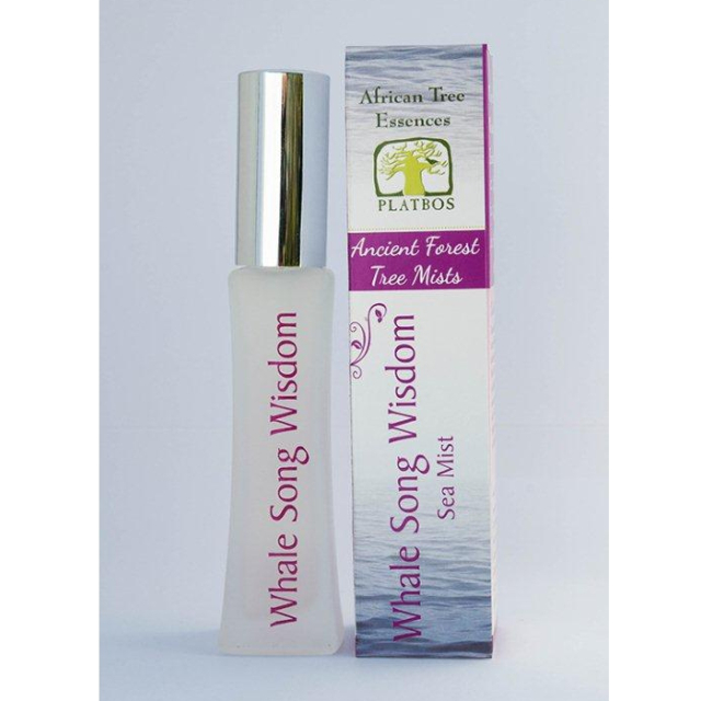 ホエールソングウィズダム