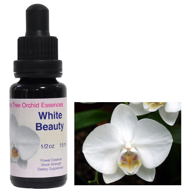 『専用』アンジェリックエッセンス　6本　フラワーエッセンス アンジェリックエッセンス｜フラワーレメディ【公式】