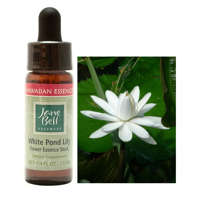 ジェーンベルエッセンス ハワイアンエッセンス