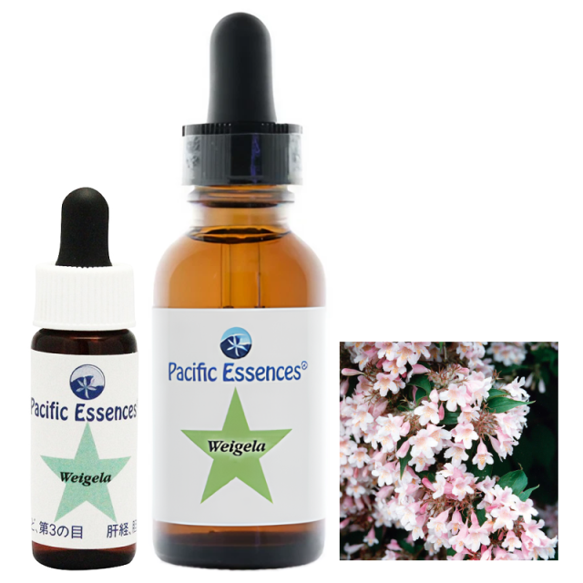 ネイチャーズウィッシュ リリース フラワーエッセンス 【ベルチェレスタ】