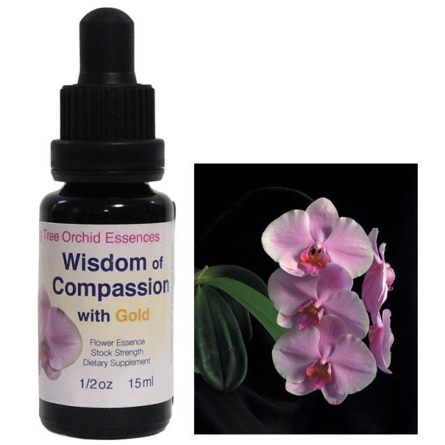 ウィズダムオブコンパッション