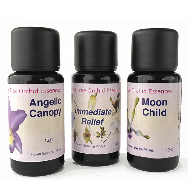 キシリトールタイプ