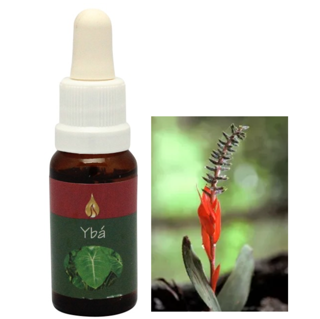 スリ アラレタマ・レインフォレストエッセンス フラワーエッセンスの