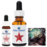 ♡お好きなエッセンスご選択♡パシフィックエッセンス　シーエッセンス7.5ml ♡お好きなエッセンスご選択♡パシフィックエッセンス シー