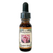 パワーローズブースター Power rose booster 100ml 送料無料】REVI ルヴィ パワーローズブースター 10ml【お試