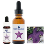♡お好きなエッセンスご選択♡パシフィックエッセンス　シーエッセンス7.5ml ホーソン《パシフィックエッセンス》7.5ml｜フラワーレメディ