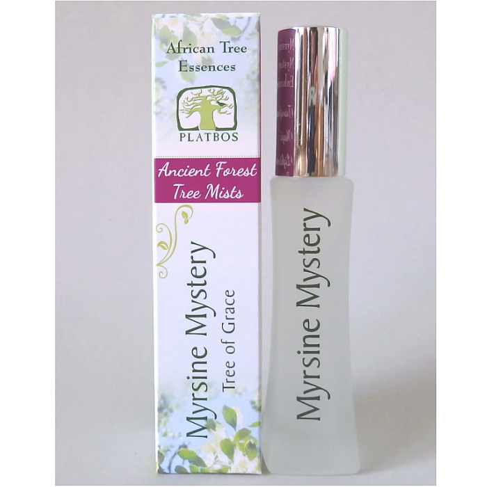 ミルシンミステリー