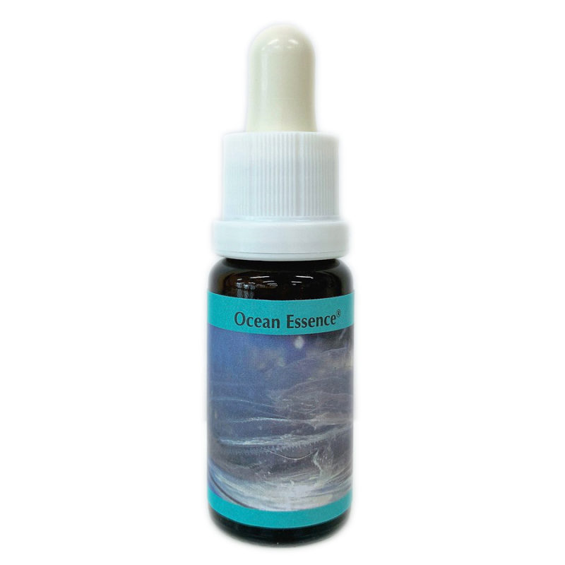 オーシャンエッセンスNo.18